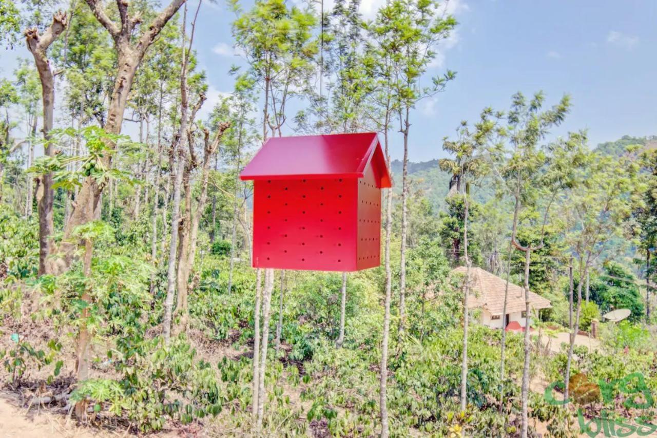 Hôtel Wanders In Travel Company à Madikeri Extérieur photo