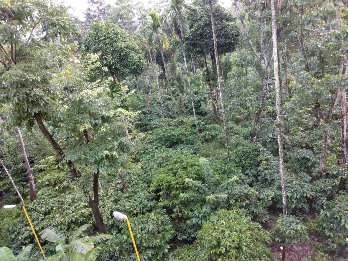 Hôtel Wanders In Travel Company à Madikeri Extérieur photo
