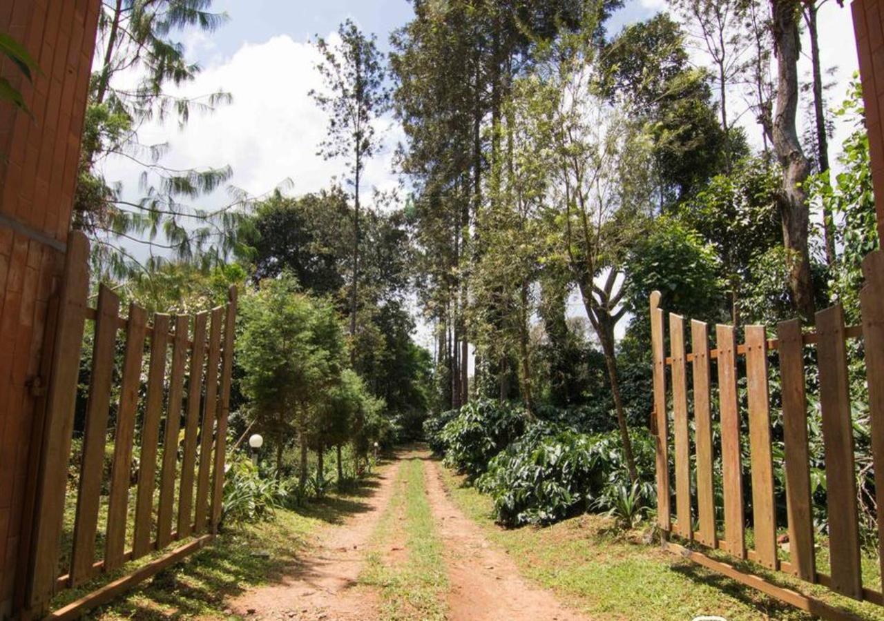 Hôtel Wanders In Travel Company à Madikeri Extérieur photo