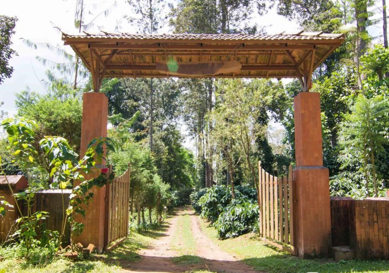 Hôtel Wanders In Travel Company à Madikeri Extérieur photo