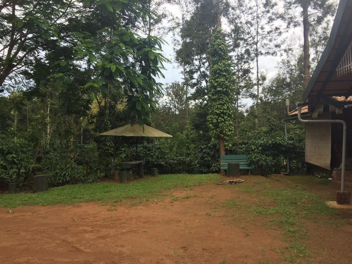 Hôtel Wanders In Travel Company à Madikeri Extérieur photo
